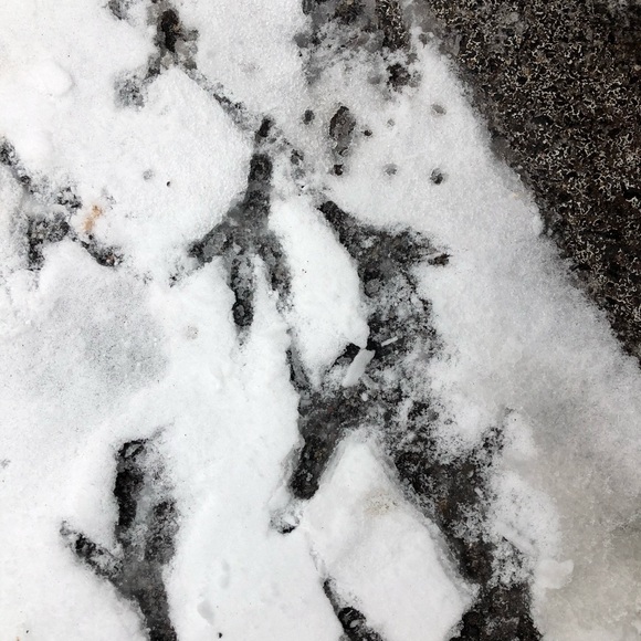 Meet your Posher, Sarah - Picture 10 of 15